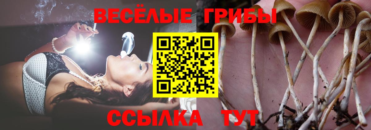 Галлюциногенные грибы прущие грибы  Вход с VPN  цены   Петрозаводск 